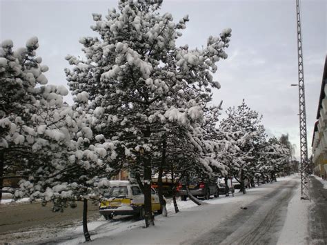 APs adventures: Snow in Copenhagen