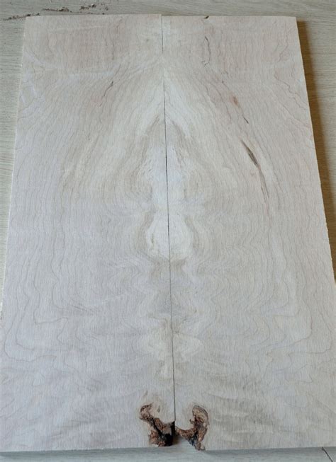 Maple Tonewood, Maple guitar top - Electric guitar wood