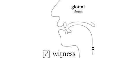 Glottal Stop - The Sound of English