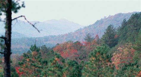 The Caddo Map Tool, Environment - The Ouachita Mountains