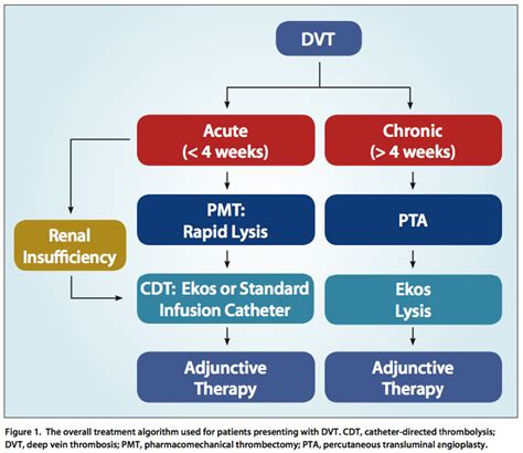 Dvt Treatment Guidelines 2024 - Betsy Charity