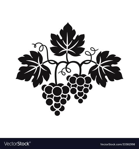 Grape vine and bunch grapes Royalty Free Vector Image