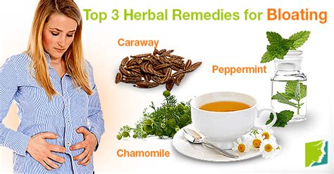 Top 3 Herbal Remedies for Bloating | Menopause Now