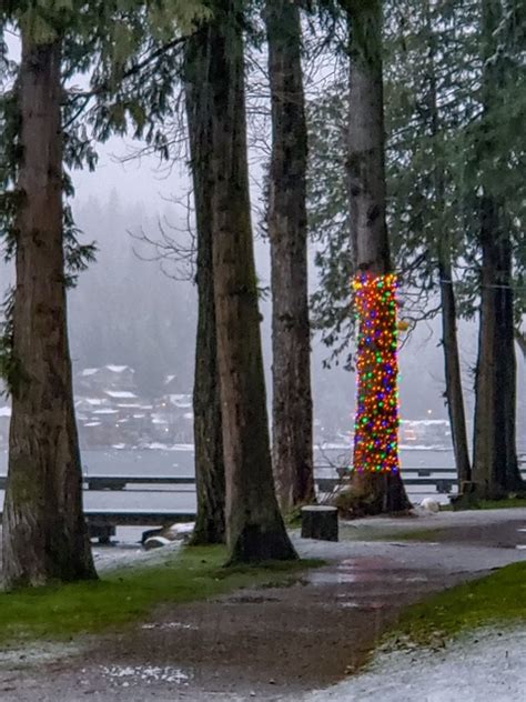 2020 Cultus Lake Winter Solstice In Pictures – FVN