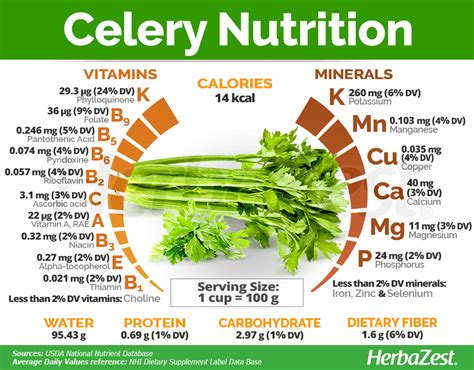 Celery Nutrition | Healthy food choices, Food health benefits ...