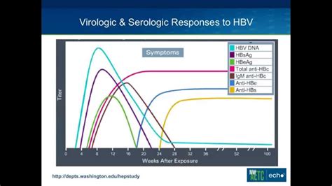 Isolated Hepatitis B Core Antibody - YouTube