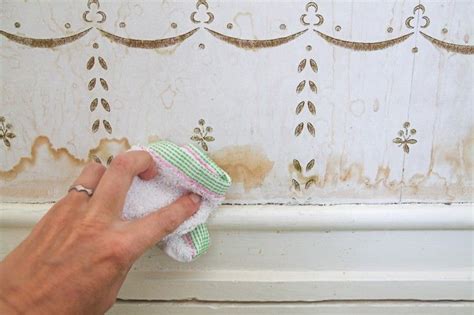 Domestic Science: How to Remove Water Stains from Wallpaper ...