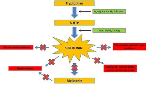 Serotonin Supplements to Boost Mood Naturally (detailed guide) | Be Brain Fit