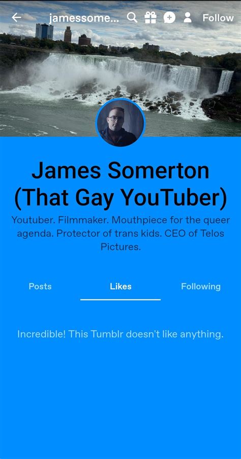 James Somerton is a very authentic Tumblr user (real) : r/hbomberguy