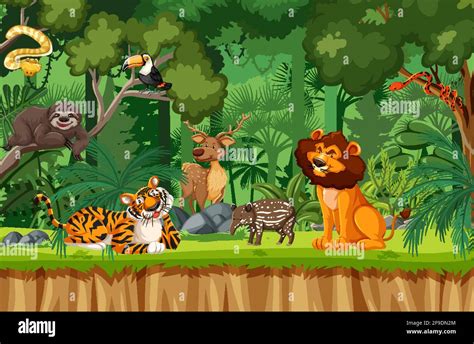 Wild animal cartoon character in the forest scene illustration Stock ...