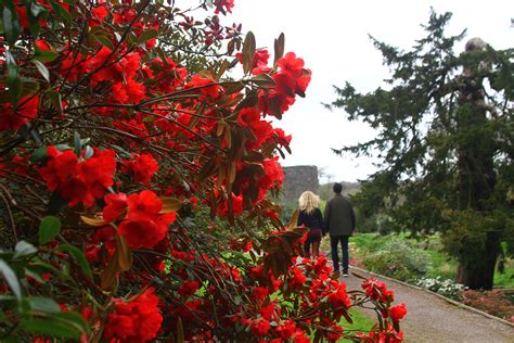 Visiting Castles in Cork — Wanderdolls