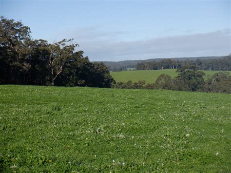Lot 1107 Wetherall Road, Pemberton WA 6260 - Sold Rural & Farming | Commercial Real Estate