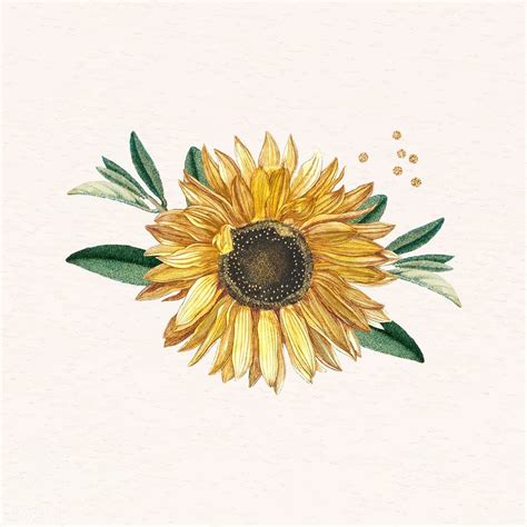 Blooming sunflower design element vector | premium image by rawpixel.com / NingZk V. | Sunflower ...