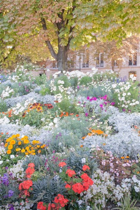 Paris Garden Photo City Garden on Champs Élysées Colorful - Etsy