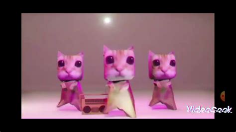 gatos bailando epicamente - YouTube