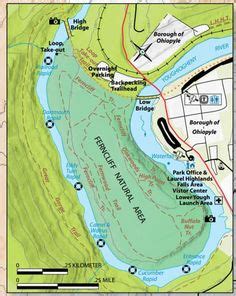 Ferncliff Trail in the Summer in 2021 | State parks, Ohiopyle state park, Park