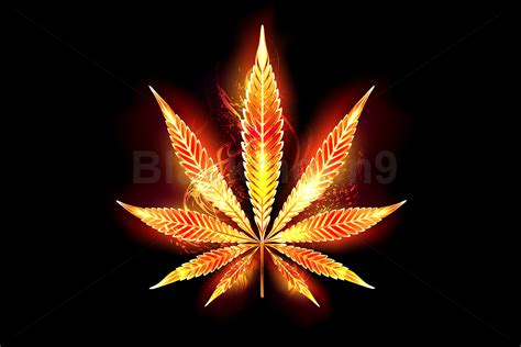 Cannabis Fire Leaf Graphic by Blackmoon9 · Creative Fabrica