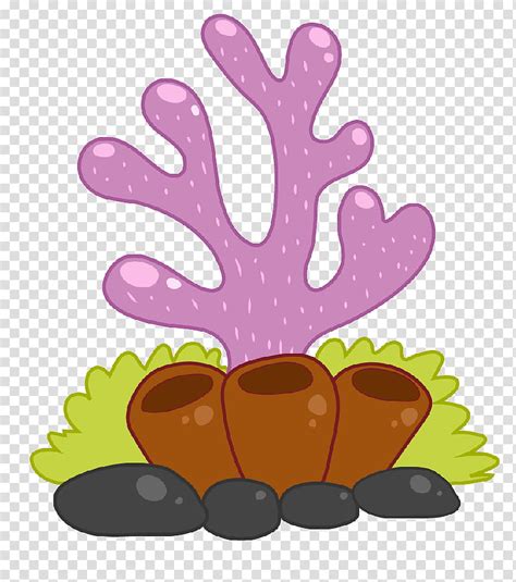 Coral Reef, Cartoon, Drawing, Animation, Sea, Leaf, Plant, Hand transparent background PNG ...