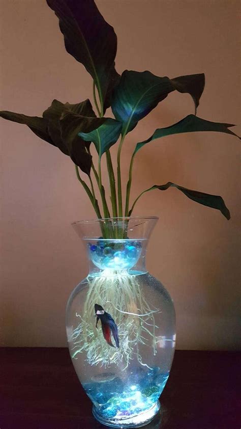 Peace Lily Betta Tank - BETATH