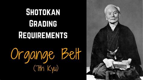 Shotokan Karate Grading Syllabus: Orange Belt (7th Kyu)