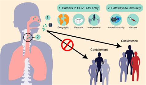 COVID-19 and Emerging Viral Diseases: the journey from animals to ...