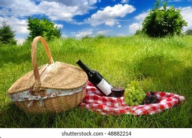 Outdoor Picnic Sunny Day Stock Photo 48882214 | Shutterstock