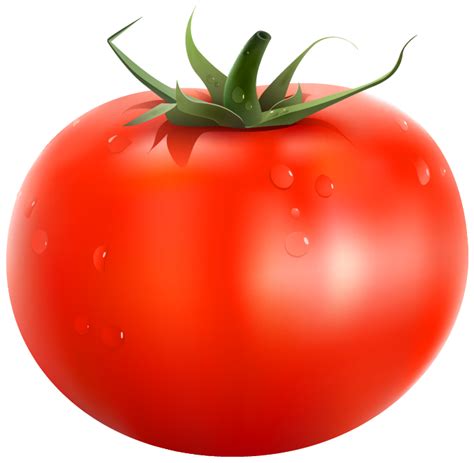 Tomato PNG Clipart Picture | Gallery Yopriceville - High-Quality Images ...