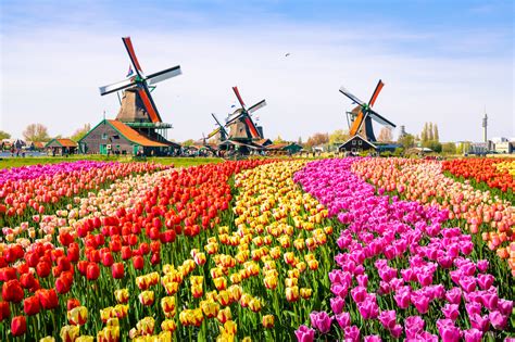 The 10 Best Kept Secrets In Amsterdam