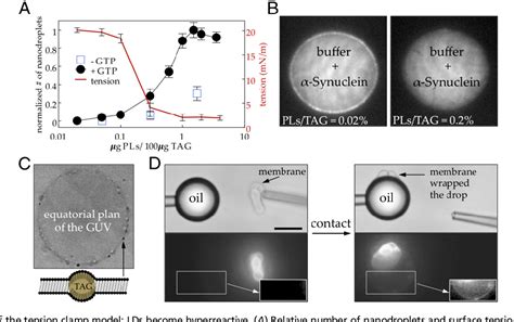 [PDF] COPI buds 60-nm lipid droplets from reconstituted water–phospholipid–triacylglyceride ...