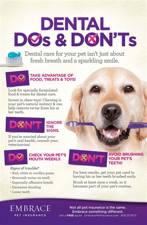 A Case for Dental Cleanings and Dentistry Facts | EMBRACE | Pet dental care, Dog health tips ...