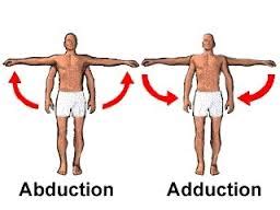 Range of Motion - Shoulder