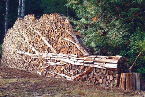 Beautiful! | Stacking firewood, Firewood logs, Firewood