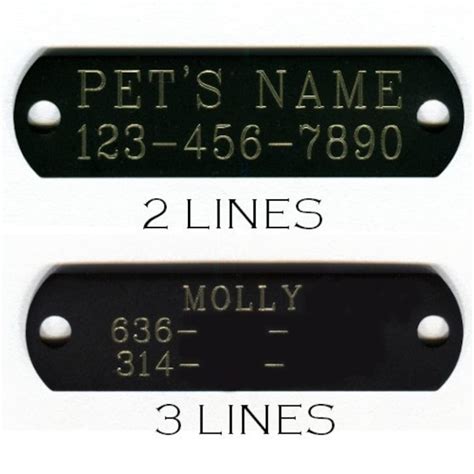 Leather Dog Collars With Nameplate and Studs Wide Dog - Etsy