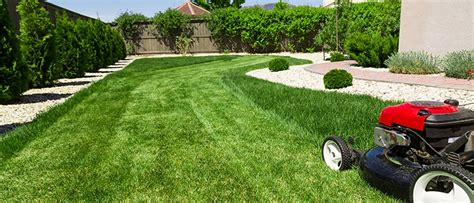 Lawn Care Services: Making Your Garden Look Its Best - Barrels Of Hope