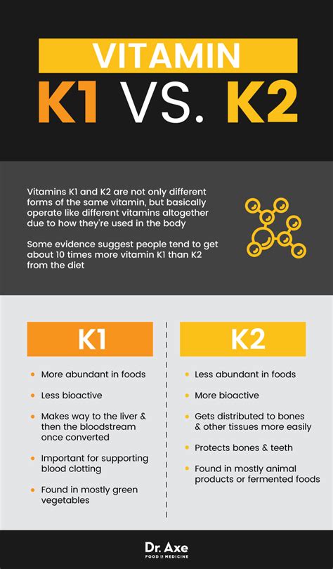Vitamin K2 Foods, Benefits, Recipes & More - Techno world