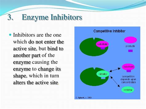 BIOCATALYST