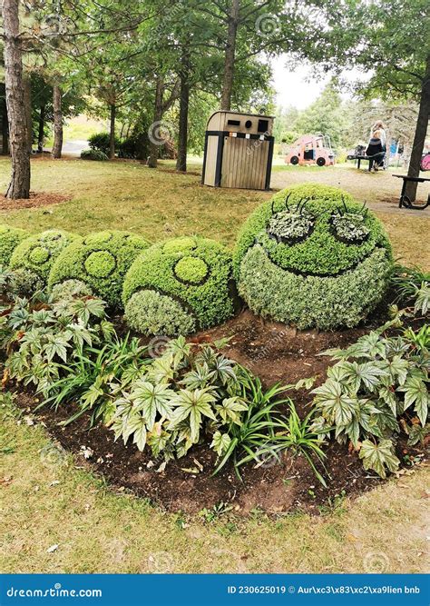 Smileys Faces Botanical Garden Editorial Stock Image - Image of grass, landscaping: 230625019