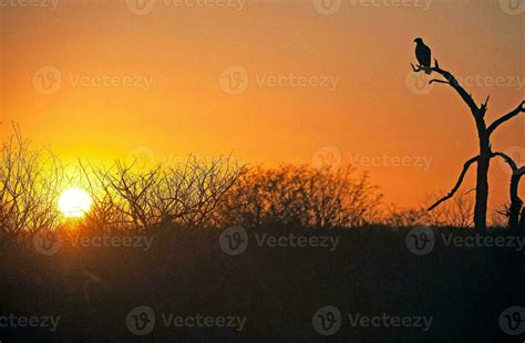 Tropical sea sunset tree sky view background 27820030 Stock Photo at ...