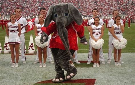 Big Al: The evolution of the Alabama mascot's look throughout the years - al.com