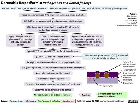 Dermatitis herpetiformis: pathogenesis and clinical findings | Calgary ...