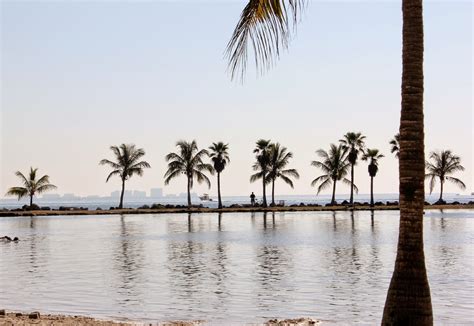 The Miami Dad: Beach Fun at Matheson Hammock Park