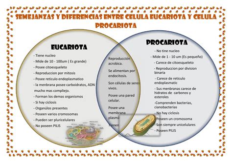 Diferencias y semejanzas by Cinthia Ramirez - Issuu