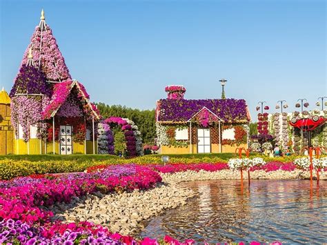 Dubai Miracle Garden, Dubai - Timings, Entry Fee, Best Time to Visit