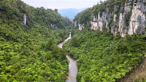 134 Paparoa national park new zealand Stock Video Footage - 4K and HD ...