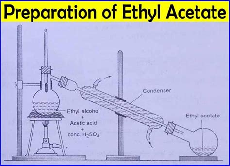 How is Ethyl Acetate made? | Properties | Uses - Chemistry Page - Medium