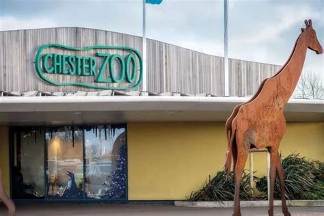 Chester Zoo | United Kingdom