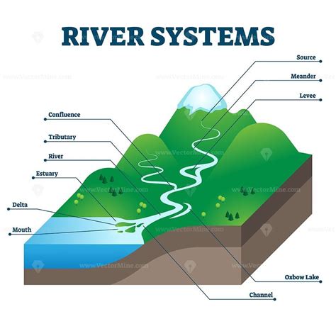 River systems and drainage basin educational structure vector illustration – VectorMine ...