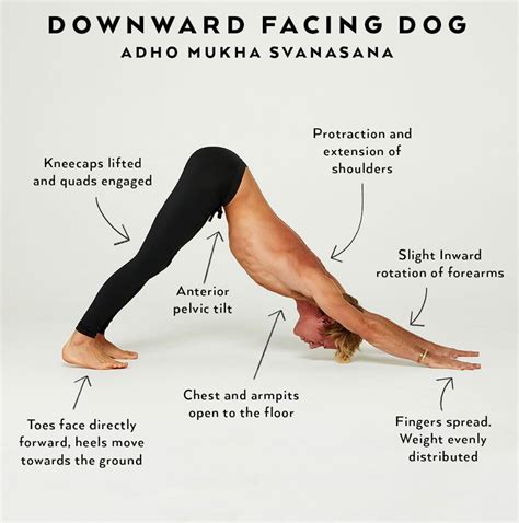 “Downward Facing Dog is a pose that is often oversimplified. There are ...