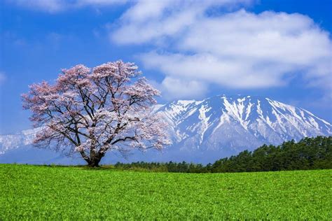 岩手の絶景スポット｜ZEKKEI Japan (1/2)