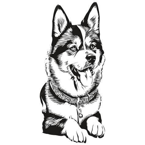 Premium Vector | Akita dog black drawing vector isolated face painting sketch line illustration ...